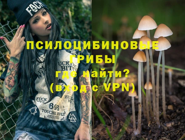 мескалин Пестово